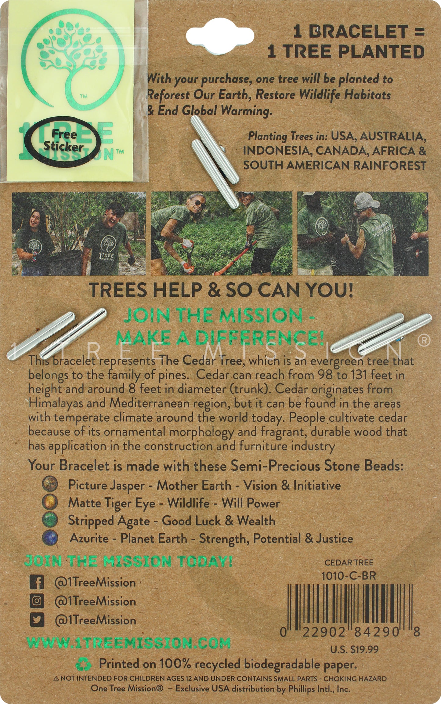 Cedar Tree Bracelet - 1 Tree Mission®